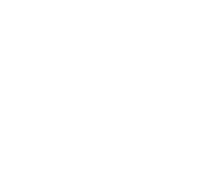 Lynch Digital Group